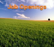 Job Openings