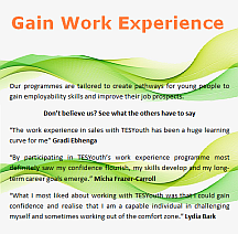 work experience, Sales, Research, Digital Marketing and Recruitment