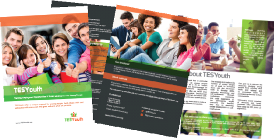 TESYouth brochure