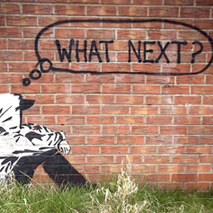 Young people being failed on jobs