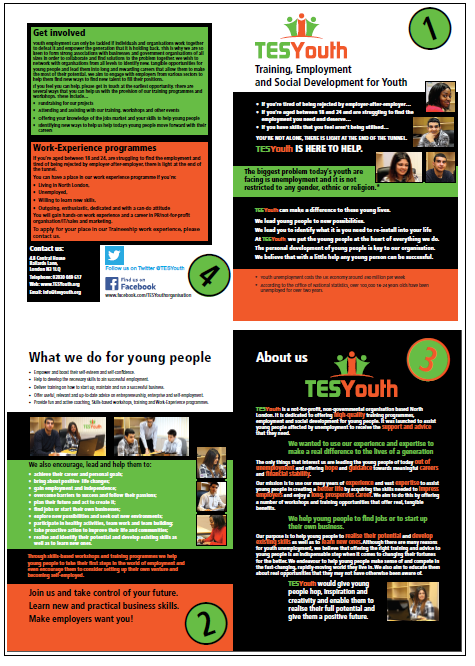 TESYouth Brochure
