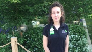 Youth gardening, Chelsea Flower Show