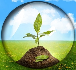 Web presence for NFP