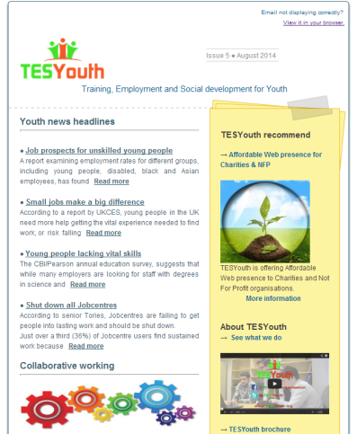 TESYouth Newsletter August 2014